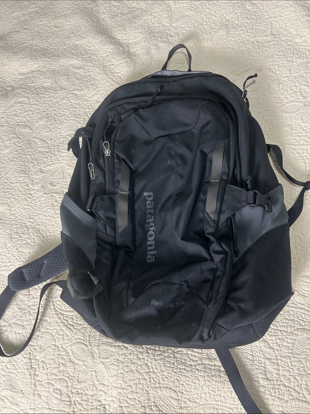 Patagonia Black Everyday Backpack with Front Organizers
